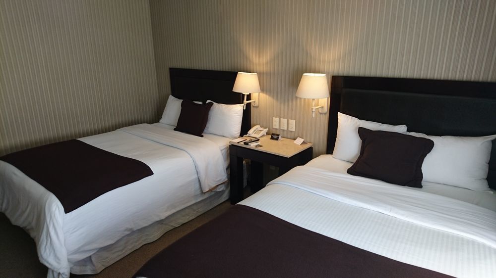 Hotel Gobernador Дуранго Экстерьер фото